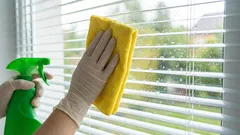 Cu ce să ștergi geamurile pentru a nu fi nevoit să le speli după fiecare ploaie: o metodă cu mijloace la îndemână